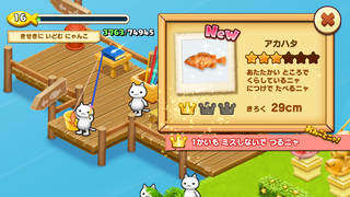 150715-14ほたてがい釣りアカハタ3.PNG