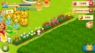 150821-2夏の花のたね実ったところ.PNG