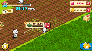 151002-12かぼちゃ栽培中.PNG