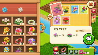 151021-06花屋ドライフラワー.PNG