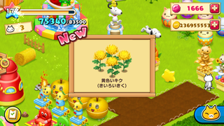 151021-25実り黄色いキク.PNG