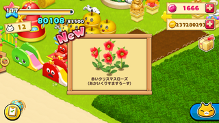 151022-07実り赤いクリスマスローズ.PNG
