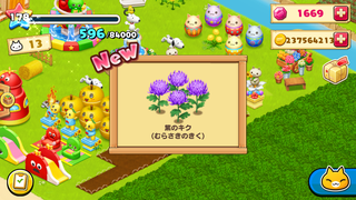 151023-01実り紫のキク.PNG