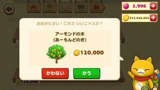 160120-12アーモンドの木購入確認.PNG