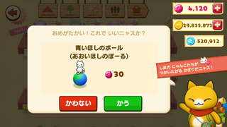 160602-19商店青いほしのボール購入確認30ルビー.png