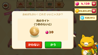 160602-20商店月のライト購入確認20ルビー.png