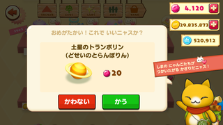 160602-21商店土星のトランポリン購入確認20ルビー.png